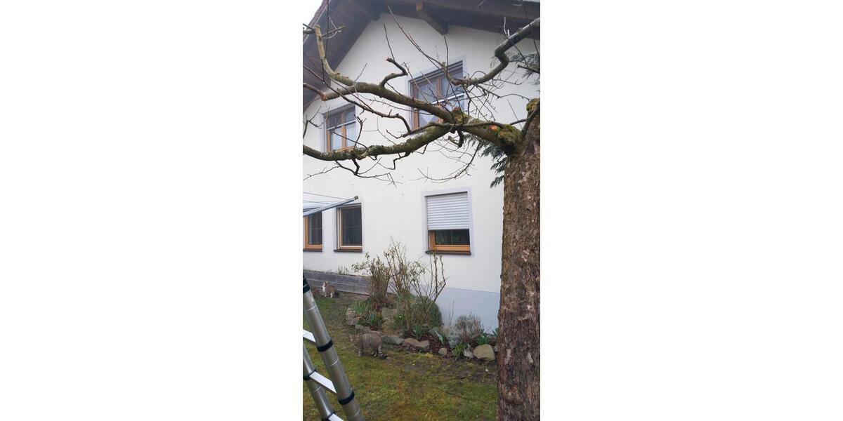 Einfamilienhaus Ortenburg - 10 Zimmer, 196 m&sup2;, 1.500&euro; | Angebot:25654867