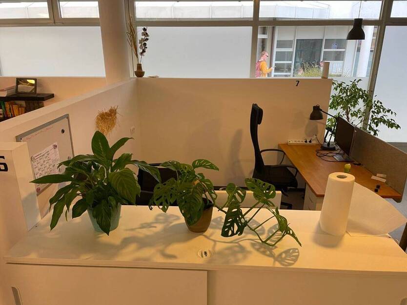 Coworking Freilassing - All-in-Miete