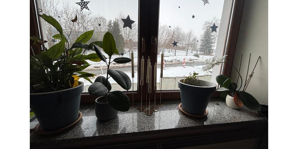 Gewerbeobjekt Röslau - 2.600&euro; | Angebot:24839049