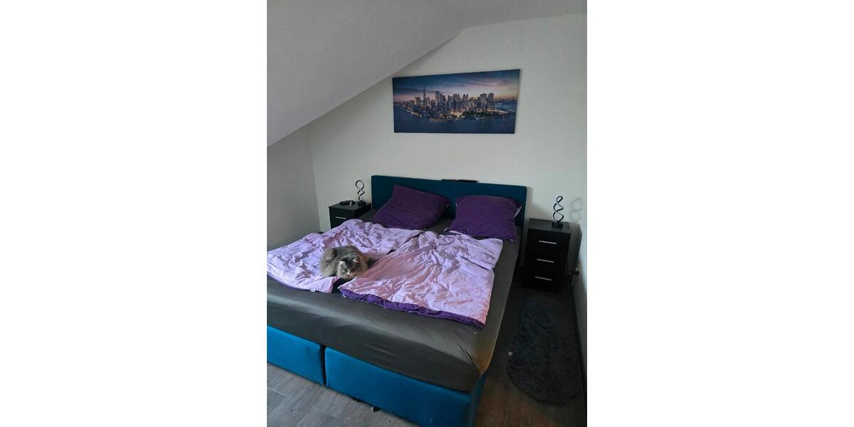 Dachgeschoßwohnung Seeland Gatersleben - 4 Zimmer, 95 m&sup2;, 900&euro; | Angebot:26261207