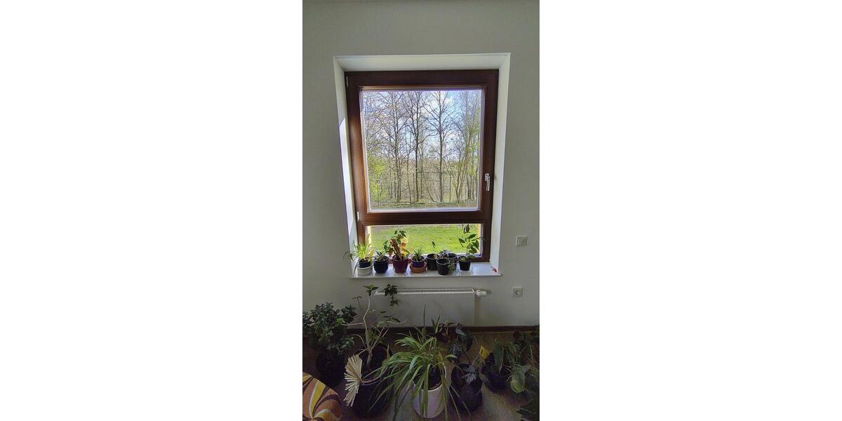 Wohnen auf Zeit Dortmund Eving - 1 Zimmer, 17 m&sup2;, 415&euro; | Angebot:25963292