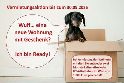 Wohnung zum Mieten in Halle 620 € 81 m²