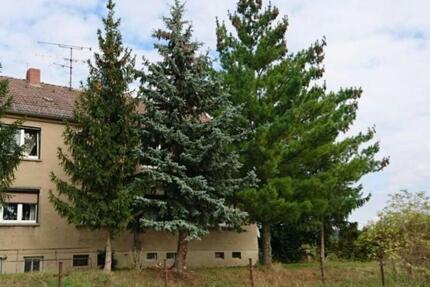 Wohnung Nebra (Unstrut) - 4 Zimmer, 42 m&sup2;, 230&euro; | Angebot:25046455