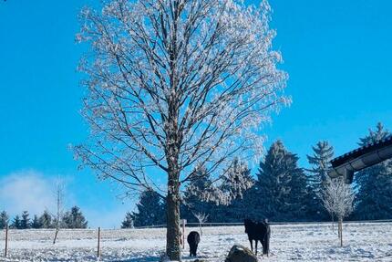 WG Zimmer auf Bauernhof in Alleinlage 1 zimmer