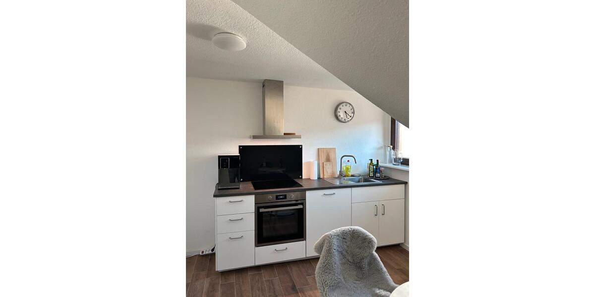 Dachgeschoßwohnung Wiesloch - 3 Zimmer, 70 m&sup2;, 814&euro; | Angebot:26020175