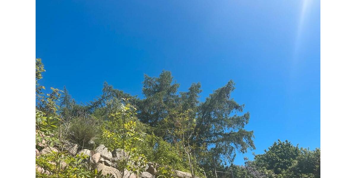 Erdgeschoßwohnung Lubmin - 1 Zimmer, 43 m&sup2;, 650&euro; | Angebot:24374319