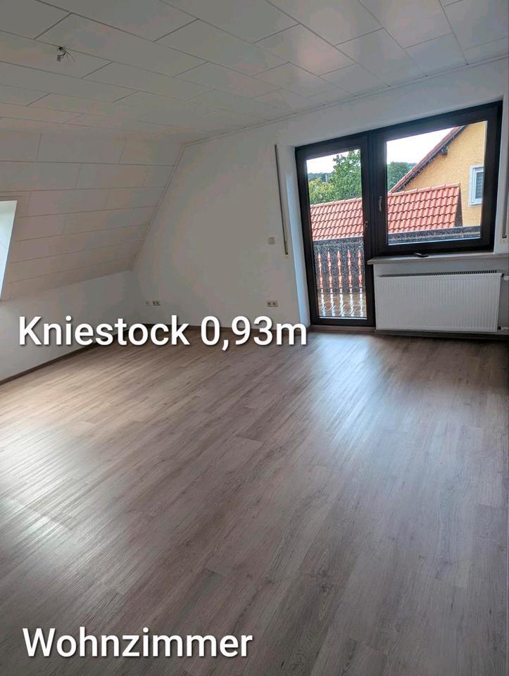 4 Zi DGW in Gunzenhausen