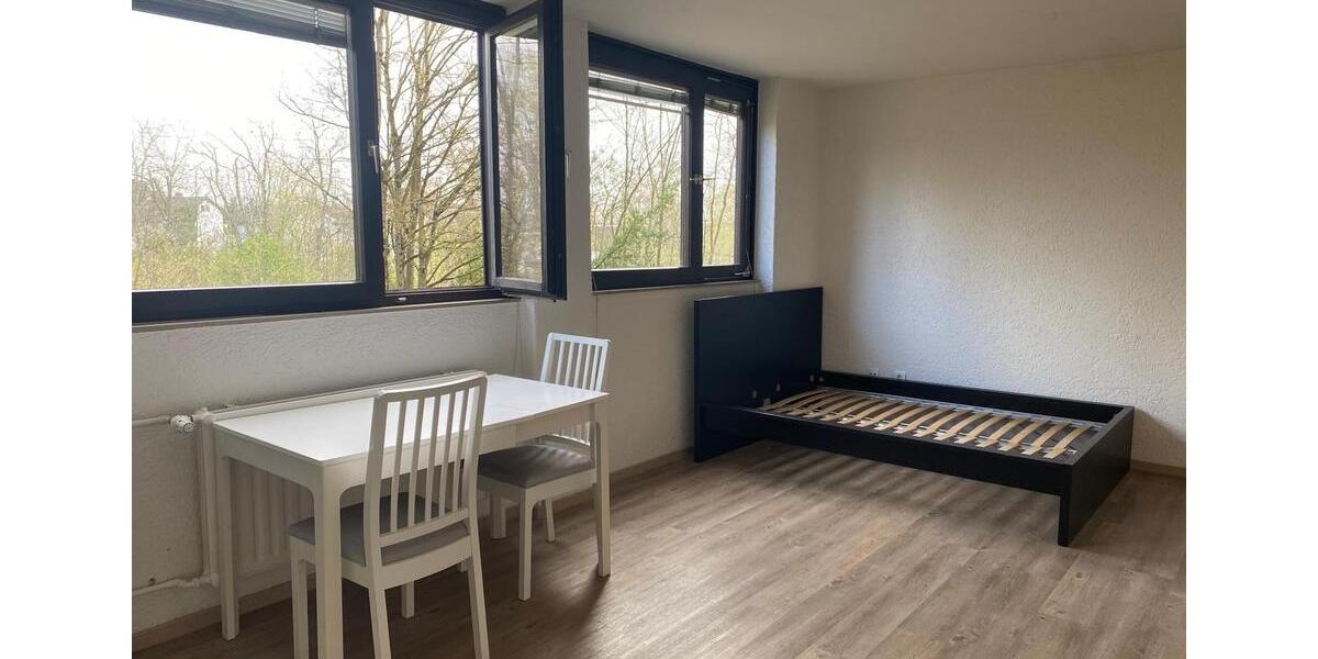 Etagenwohnung Ludwigshafen am Rhein Ludwigshafen-Hemshof - 1 Zimmer, 30 m&sup2;, 510&euro; | Angebot:25994778