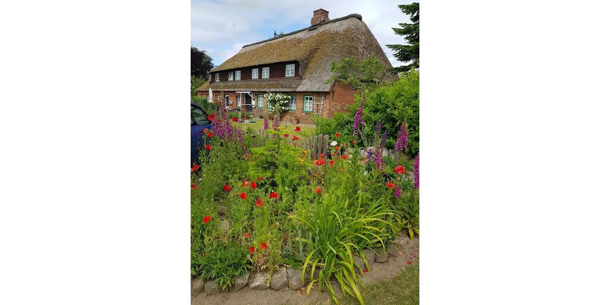 Erdgeschoßwohnung Garding - 2 Zimmer, 56 m&sup2;, 380&euro; | Angebot:25168630