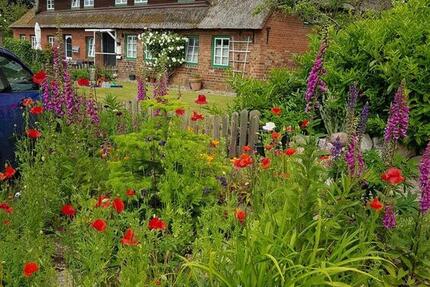 Wohnung Garding - 2 Zimmer, 56 m&sup2;, 380&euro; | Angebot:25168630