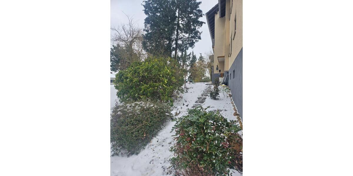 Erdgeschoßwohnung Kirchheimbolanden - 3 Zimmer, 98 m&sup2;, 1.200&euro; | Angebot:24396832