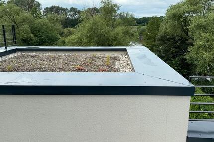 Doppelhaushälfte im Loft-Style mit Blick auf den Main 4 zimmer