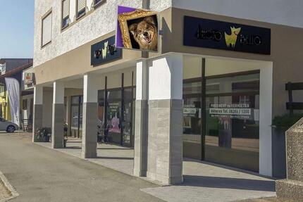 Gewerbeobjekt Oberreute - 520&euro; | Angebot:22402057