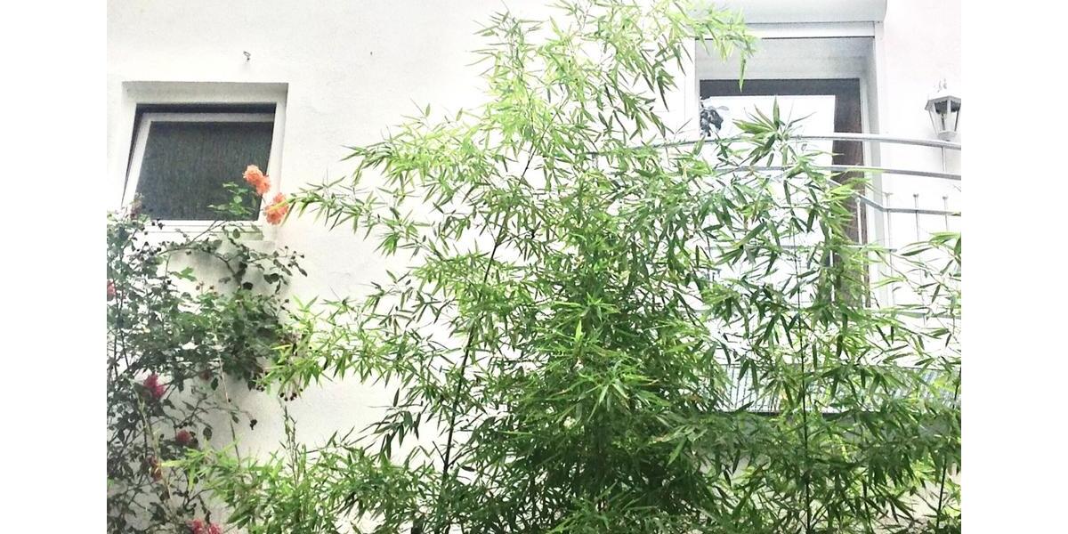 Etagenwohnung Verden (Aller) - 1 Zimmer, 35 m&sup2;, 780&euro; | Angebot:25932082