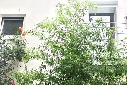 Wohnung Verden (Aller) - 1 Zimmer, 35 m&sup2;, 780&euro; | Angebot:25932082