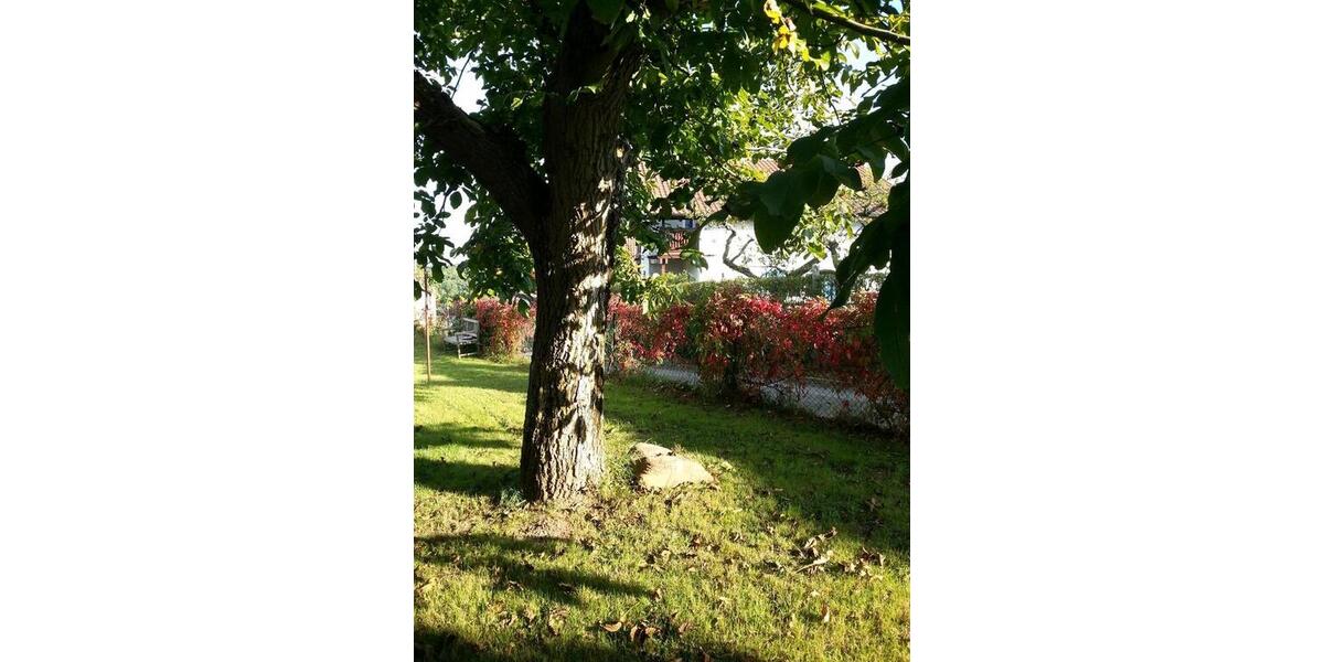 Etagenwohnung Pirmasens Niedersimten - 2 Zimmer, 60 m&sup2;, 600&euro; | Angebot:26421976