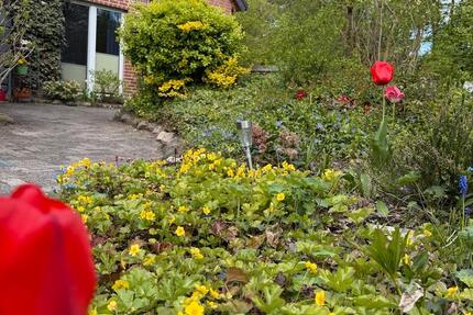 Wohnung Osnabrück Gretesch - 1 Zimmer, 35 m&sup2;, 402&euro; | Angebot:26294950