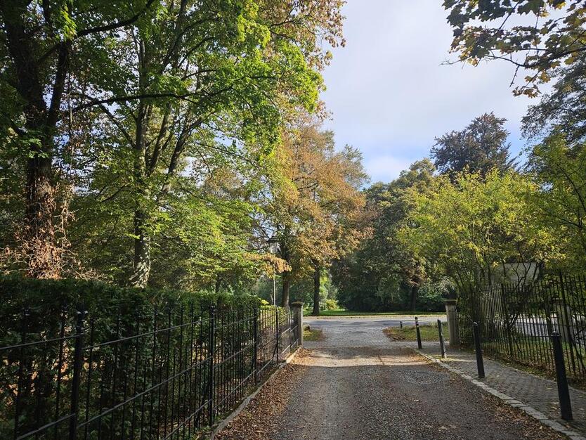 Wohn(t)raum in bester Lage | Garten | Balkon | Carport | Kamin uvm. zimmer