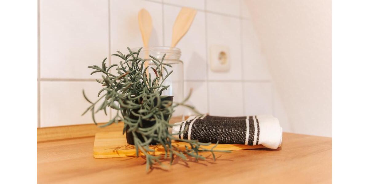 Dachgeschoßwohnung Freiberg - 2 Zimmer, 51 m&sup2;, 660&euro; | Angebot:25804783