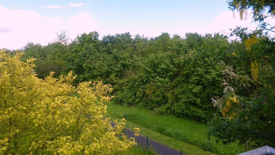 Wohlfühlen in heller, gemütlicher 1Z Wohnung mit EBK und Balkon zimmer