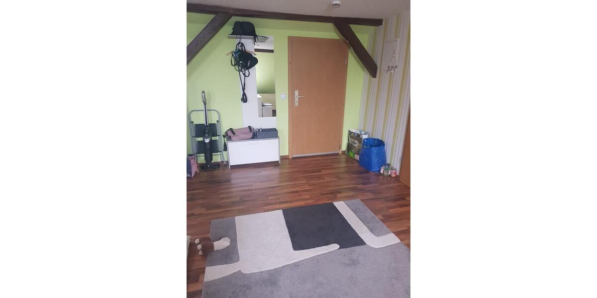 Dachgeschoßwohnung Bitterfeld-Wolfen Bitterfeld - 1 Zimmer, 65 m&sup2;, 550&euro; | Angebot:24658622