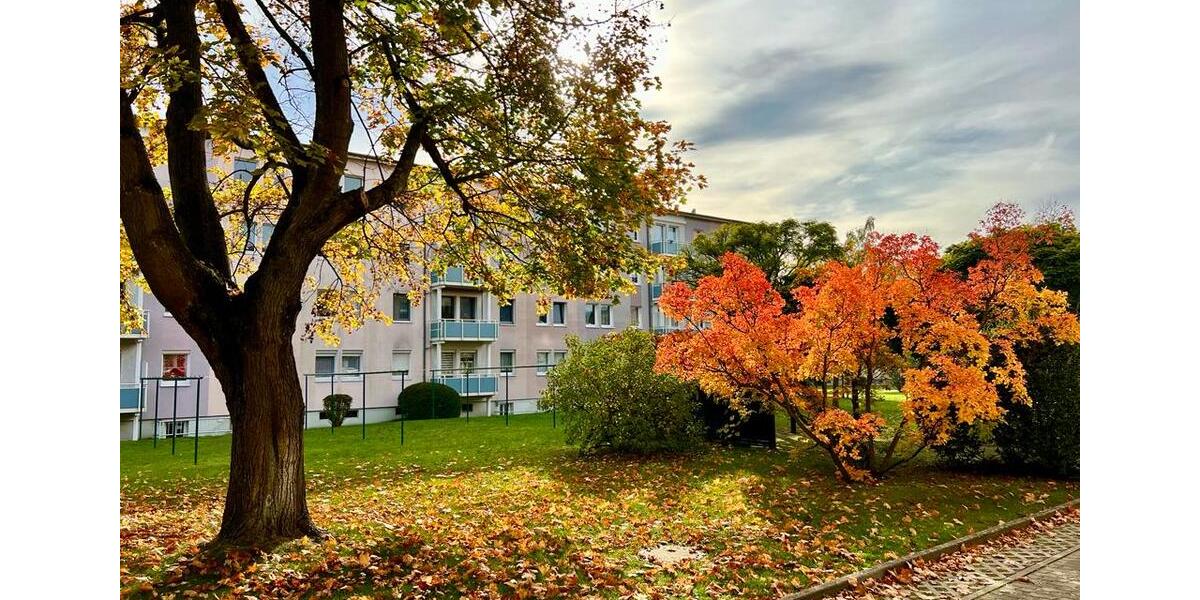 Etagenwohnung Weißwasser (Oberlausitz) - 2 Zimmer, 41 m&sup2;, 247&euro; | Angebot:26543962