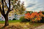 Etagenwohnung Weißwasser (Oberlausitz) - 2 Zimmer, 41 m&sup2;, 247&euro; | Angebot:26543962