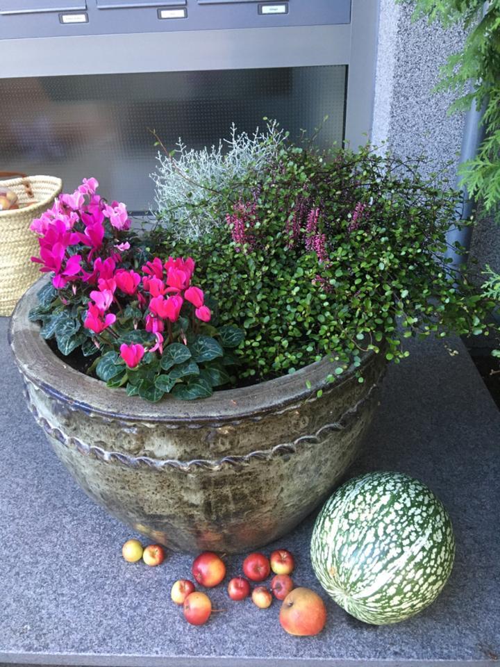 3-Zimmer-Dachgeschosswohnung Stadtheide zimmer