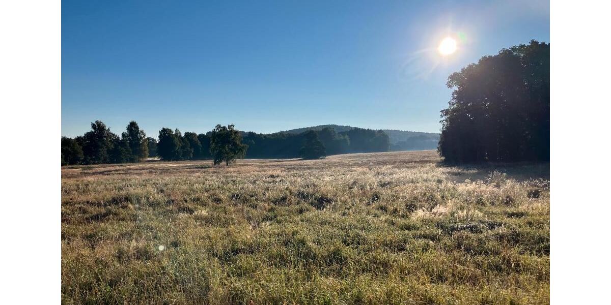 Dachgeschoßwohnung Neukirch/Lausitz Lausitz - 4 Zimmer, 850&euro; | Angebot:22884056