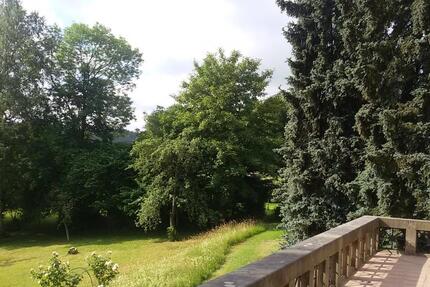 Tolle Altbauwohnung mir großer Terrasse ! 3 zimmer