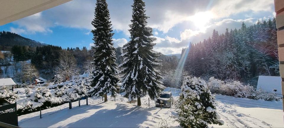 Etagenwohnung Winterberg - 2 Zimmer, 66 m&sup2;, 600&euro; | Angebot:25756654