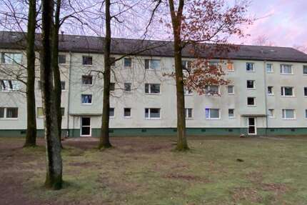 Wohnung Flensburg Schäferhaus - 2 Zimmer, 32 m&sup2;, 419&euro; | Angebot:26098701