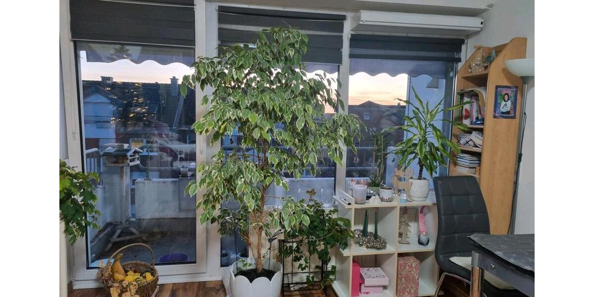 Dachgeschoßwohnung Schkeuditz - 1 Zimmer, 35 m&sup2;, 420&euro; | Angebot:24693831