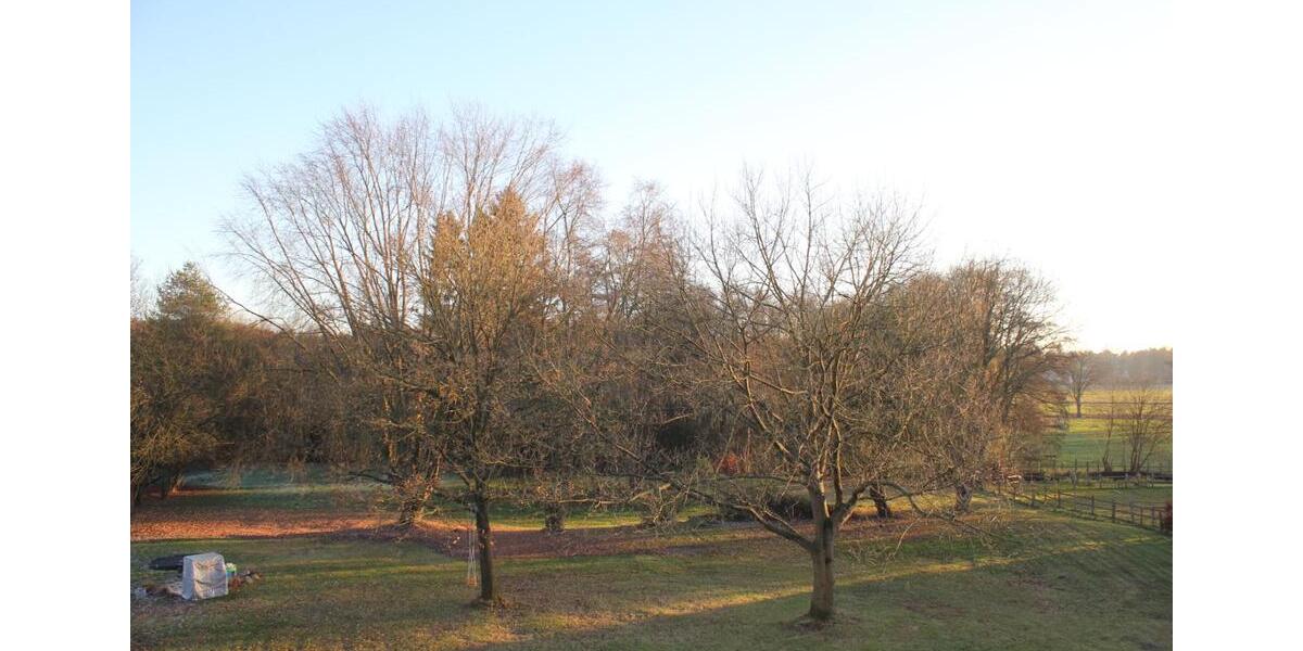 Etagenwohnung Suderburg - 6 Zimmer, 200 m&sup2;, 1.300&euro; | Angebot:25890682