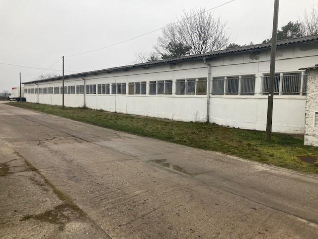 Gewerbeobjekt Wildau - 2.673&euro; | Angebot:14756086