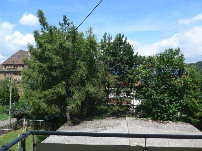 großzügige 2-Raum Wohnung mit Balkon in ruhiger Lage