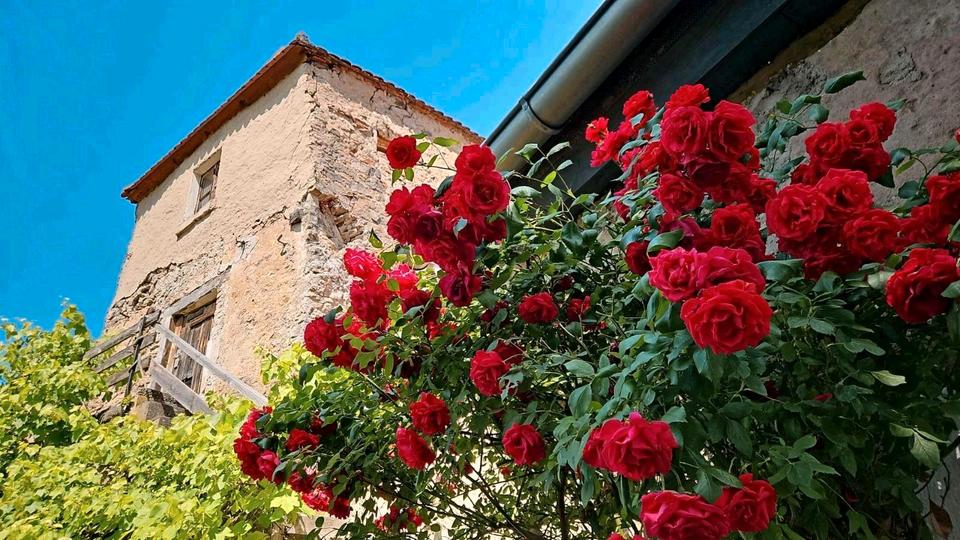 Loft - Studio - Atelier Ornbau - 3 Zimmer, 121 m&sup2;, 1.400&euro; | Angebot:26038544