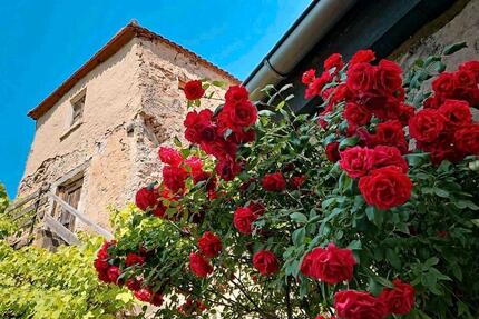 Wohnung Ornbau - 3 Zimmer, 121 m&sup2;, 1.400&euro; | Angebot:26038544