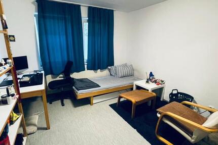 Wohnen auf Zeit Hildesheim Itzum-Marienburg - 1 Zimmer, 13 m&sup2;, 360&euro; | Angebot:26027153
