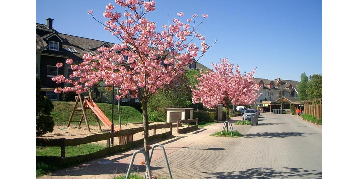 Erdgeschoßwohnung Erxleben - 3 Zimmer, 78 m&sup2;, 664&euro; | Angebot:25737831