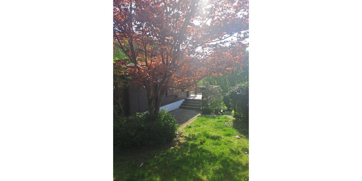 Wohnen auf Zeit Walkenried - 4 Zimmer, 65 m&sup2;, 95&euro; | Angebot:25963662