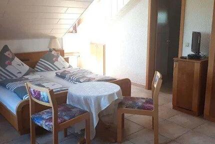 Wohnen auf Zeit Viernheim - 1 Zimmer, 15 m&sup2;, 700&euro; | Angebot:26161677