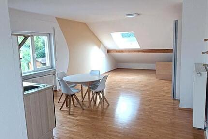 Helle Einzimmerwohnung für Pendler 1 zimmer