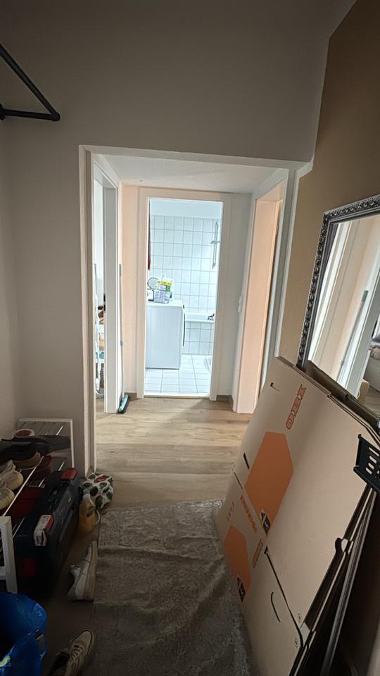 3 Raum Wohnung in Greifswald