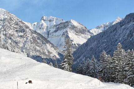 Wohnung Oberstdorf - 1 Zimmer, 35 m&sup2;, 99&euro; | Angebot:25163064