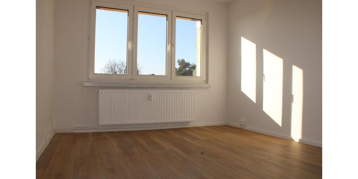 Etagenwohnung Beilrode - 2 Zimmer, 55 m&sup2;, 300&euro; | Angebot:24782868