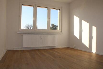 Wohnung Beilrode - 2 Zimmer, 55 m&sup2;, 300&euro; | Angebot:24782868