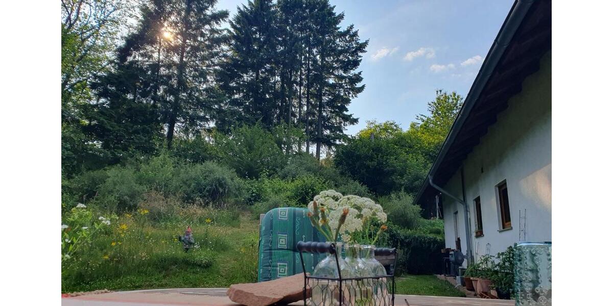 Wohnen auf Zeit Schmelz - 1 Zimmer, 130 m&sup2;, 550&euro; | Angebot:24677355