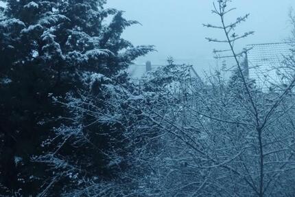 Gewerbeobjekt Schöntal - 60&euro; | Angebot:24744233