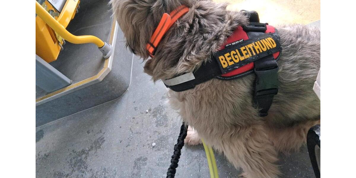 Wohnen auf Zeit Wittenborn - 10 Zimmer, 1.400 m&sup2;, 132.465&euro; | Angebot:25408722